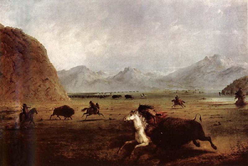 Alfred Jacob Miller Buffalo Hunt china oil painting image